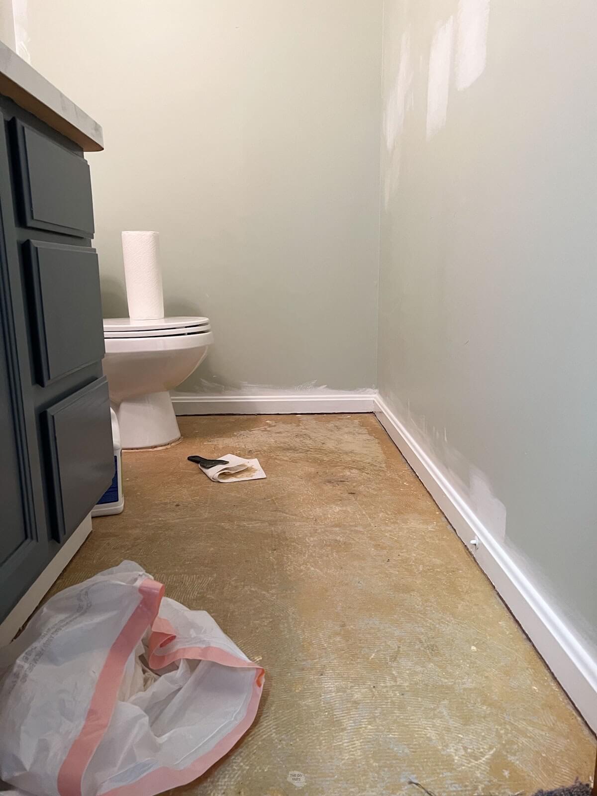 small bathroom with paint on walls, caret glue removal in process.