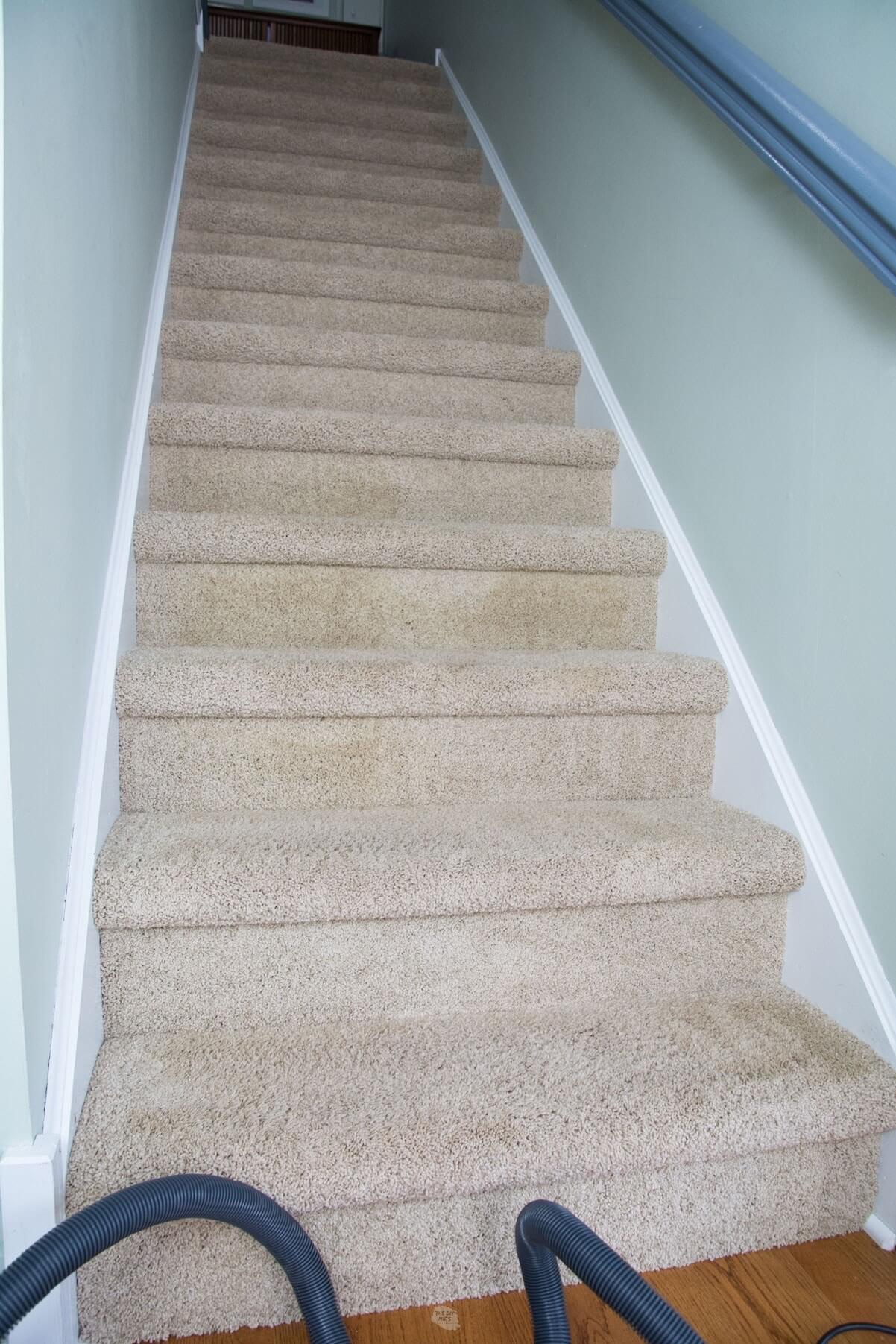 cleaned carpet on stairway.