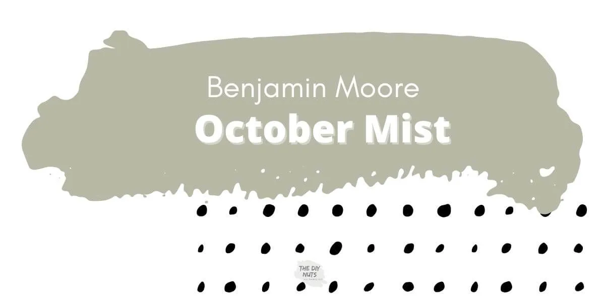 Paint color with Benjamin Moore October Mist