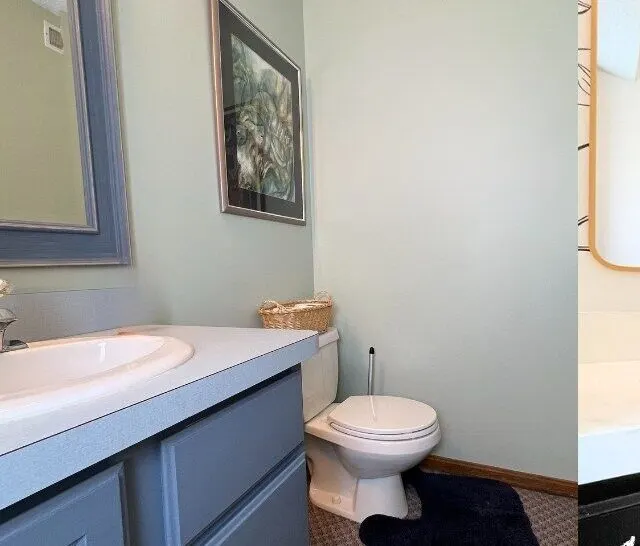 blue painted cabinets with green wall and carpet with before and arrow pointing to remodeled black and white bathroom.