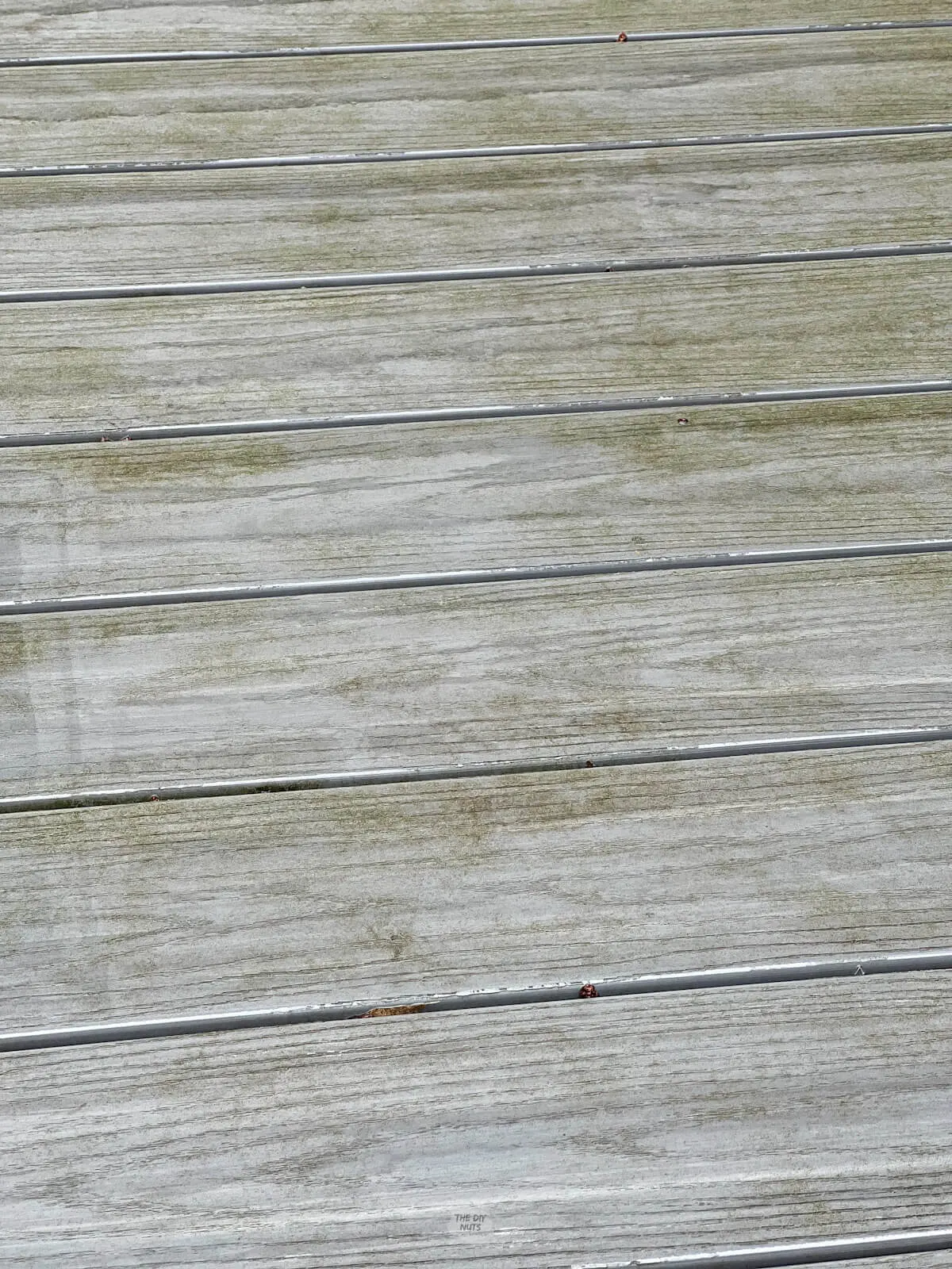 the before dirty composite gray decking with mildew on it.