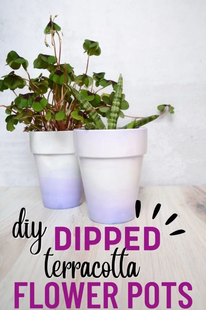 two painted ombre flower pots with text overlay dipped terracotta flower pots.