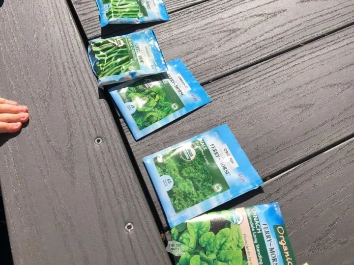 seeds used in diy planters on gray table
