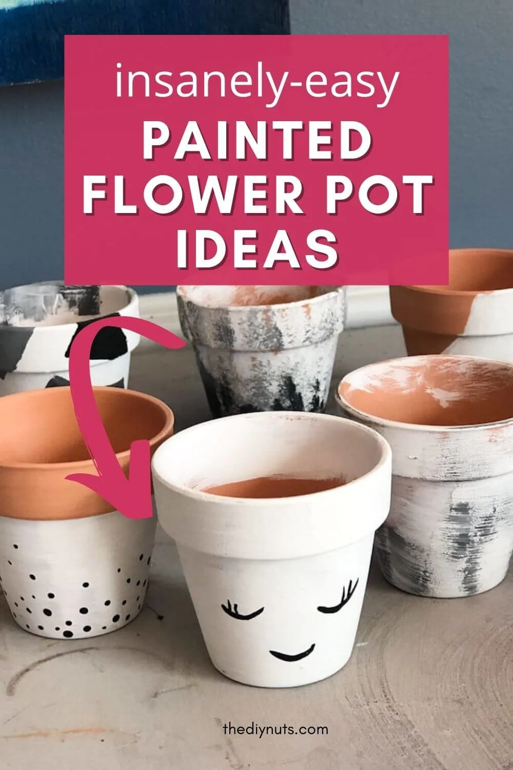insanely-easy painted flower pot ideas