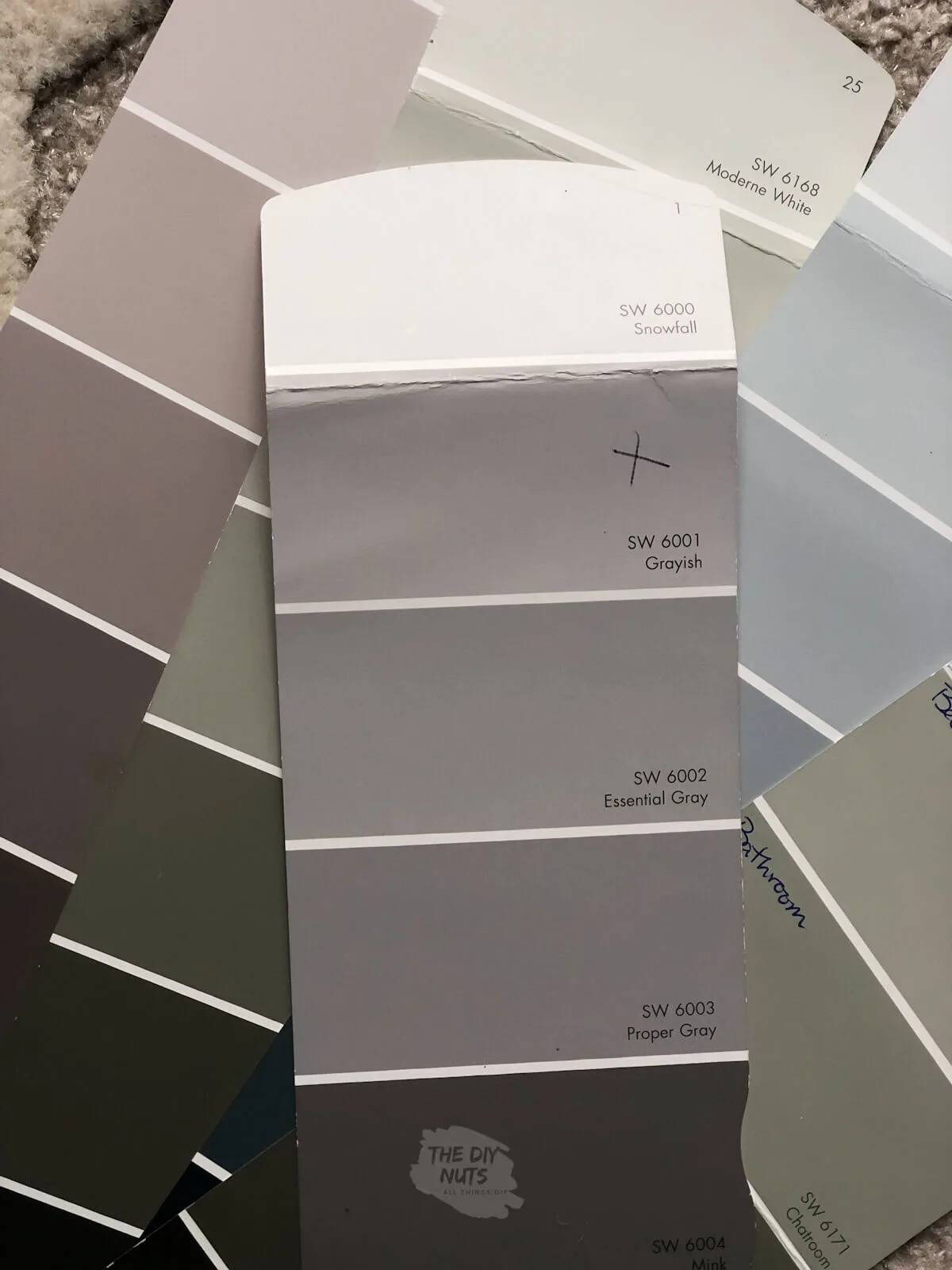 Sherwin Williams gray paint swatch with grayish, essential gray, proper gray